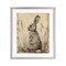 Stupell Industries Vintage Aged Bunny Portrait Framed Print Under Glass, design by Petal Prints Design